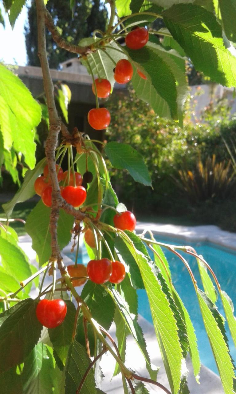 Casa Los Cerezos En Chacras De Coria Dış mekan fotoğraf